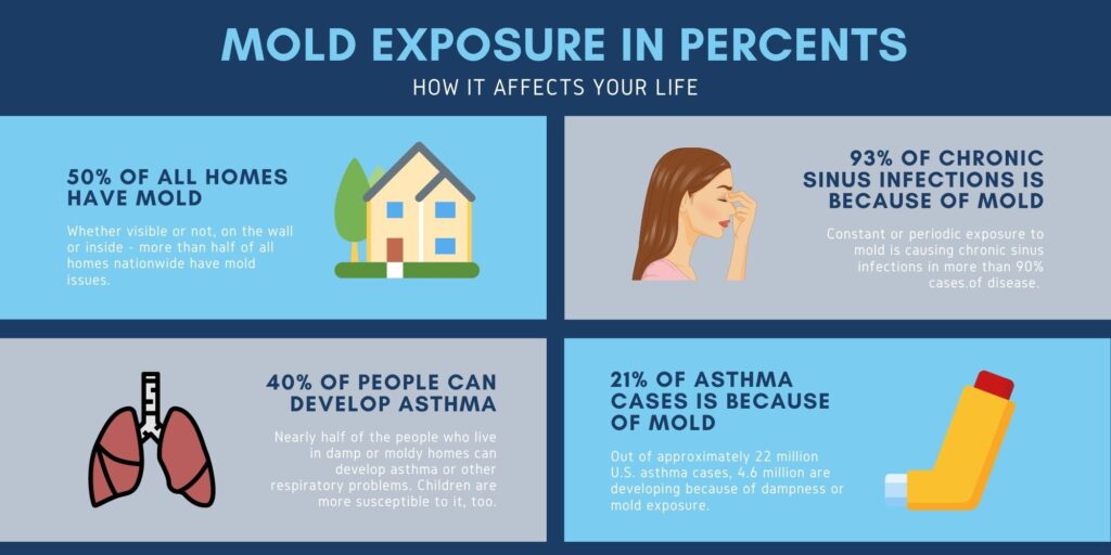 Mold Exposure Symptoms in Percents Infographic