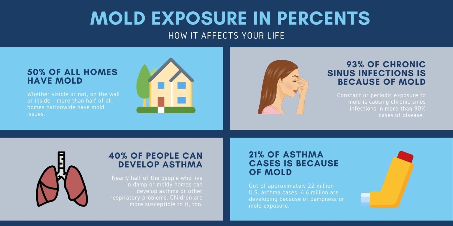 11 Symptoms of Mold Exposure That You Should Know